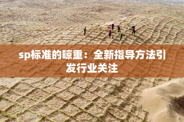 sp标准的晾重：全新指导方法引发行业关注