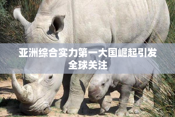 亚洲综合实力第一大国崛起引发全球关注