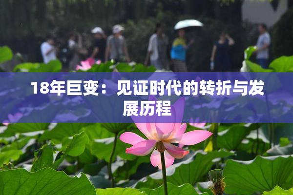 18年巨变：见证时代的转折与发展历程