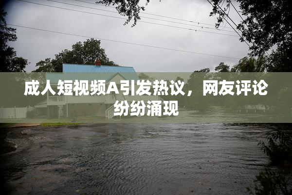 成人短视频A引发热议，网友评论纷纷涌现