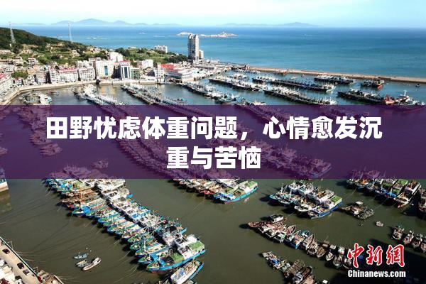 田野忧虑体重问题，心情愈发沉重与苦恼