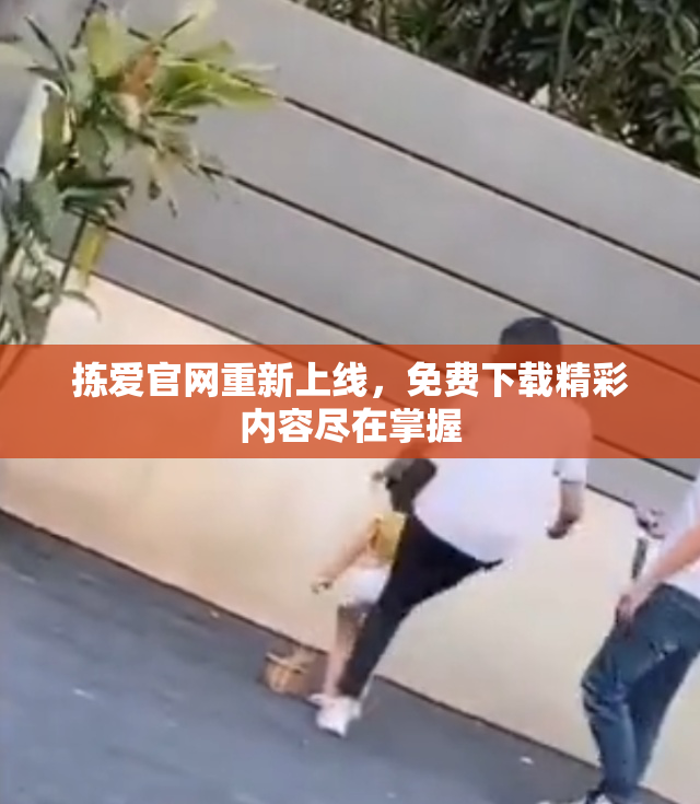 拣爱官网重新上线，免费下载精彩内容尽在掌握