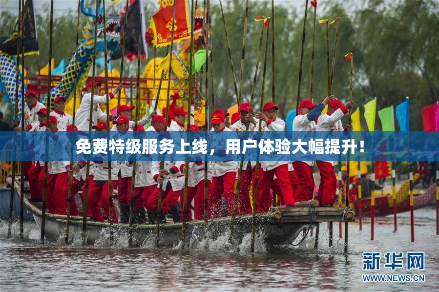 免费特级服务上线，用户体验大幅提升！