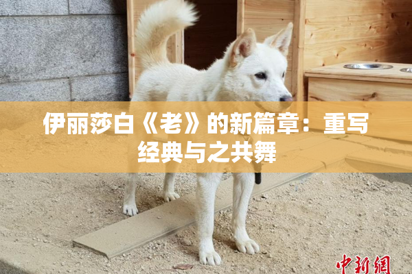 伊丽莎白《老》的新篇章：重写经典与之共舞