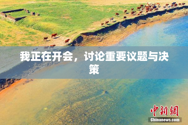 我正在开会，讨论重要议题与决策