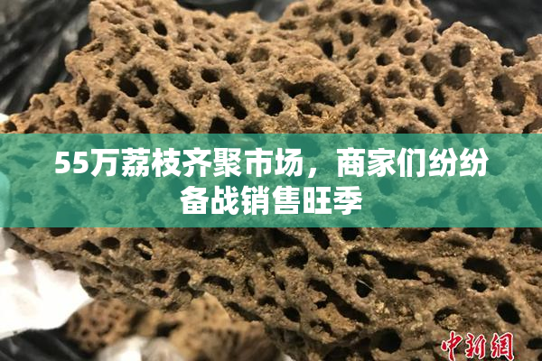 55万荔枝齐聚市场，商家们纷纷备战销售旺季