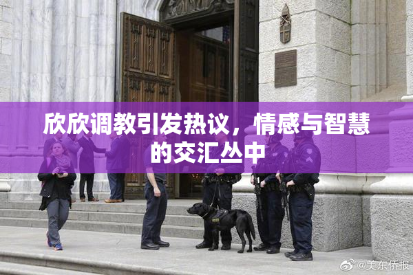 欣欣调教引发热议，情感与智慧的交汇丛中