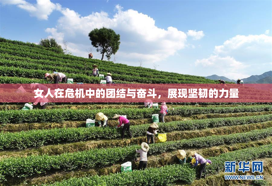 女人在危机中的团结与奋斗，展现坚韧的力量