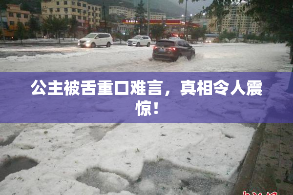 公主被舌重口难言，真相令人震惊！