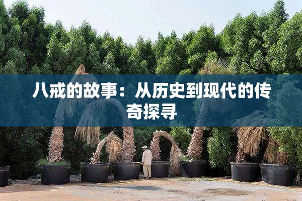 八戒的故事：从历史到现代的传奇探寻