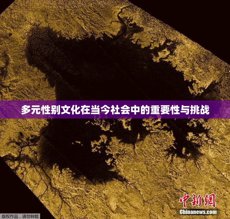 多元性别文化在当今社会中的重要性与挑战