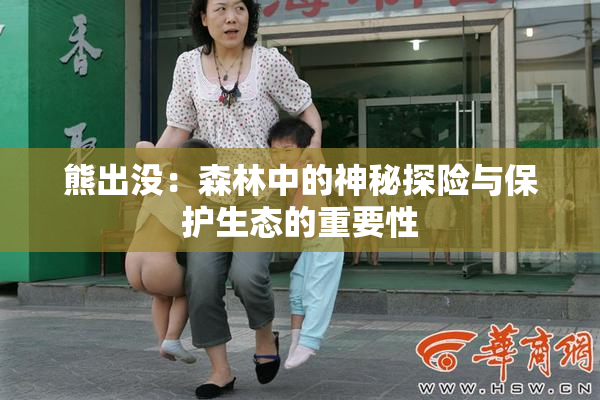 熊出没：森林中的神秘探险与保护生态的重要性