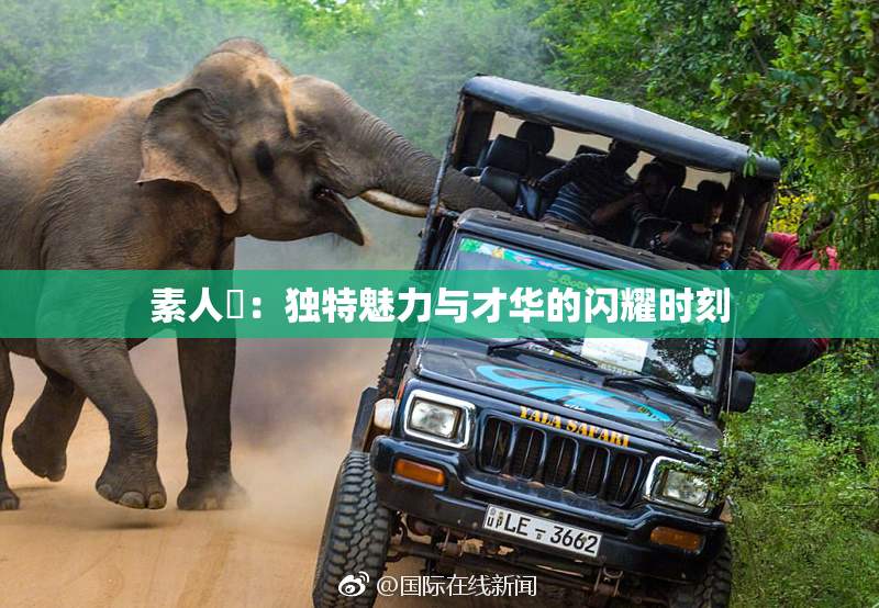 素人蘭：独特魅力与才华的闪耀时刻