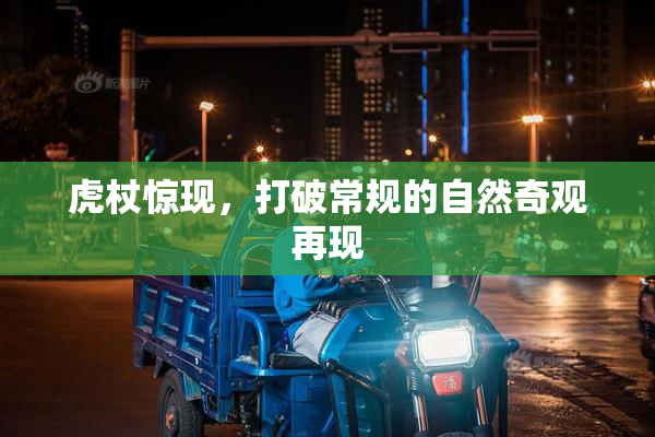 虎杖惊现，打破常规的自然奇观再现
