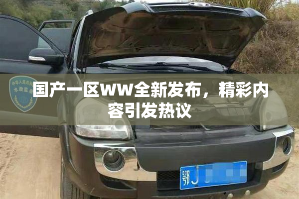 国产一区WW全新发布，精彩内容引发热议