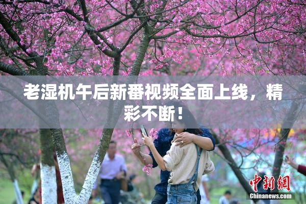 老湿机午后新番视频全面上线，精彩不断！