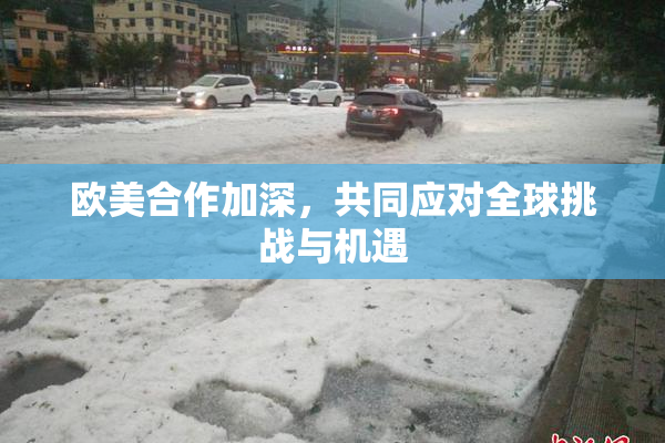 欧美合作加深，共同应对全球挑战与机遇