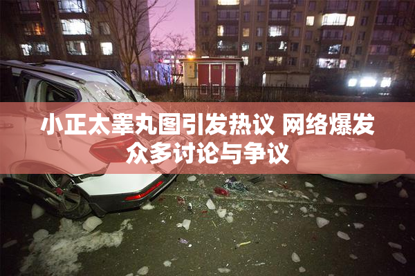 小正太睾丸图引发热议 网络爆发众多讨论与争议