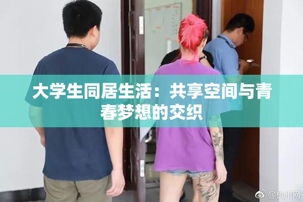 大学生同居生活：共享空间与青春梦想的交织