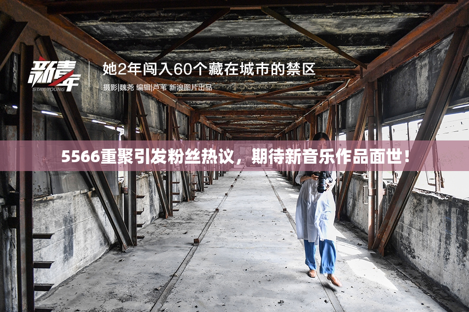 5566重聚引发粉丝热议，期待新音乐作品面世！