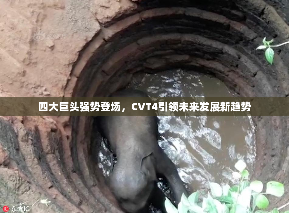 四大巨头强势登场，CVT4引领未来发展新趋势