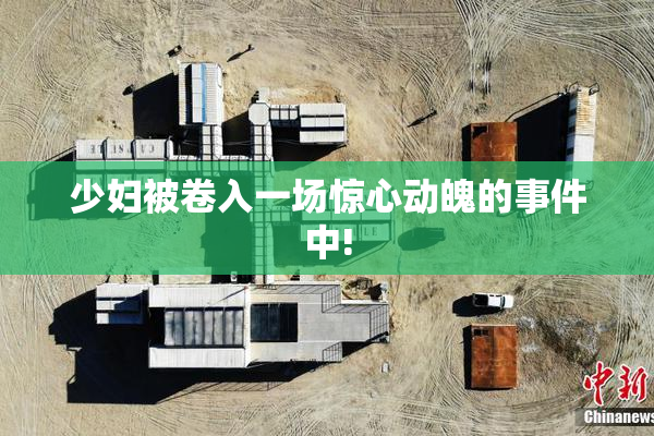 少妇被卷入一场惊心动魄的事件中!