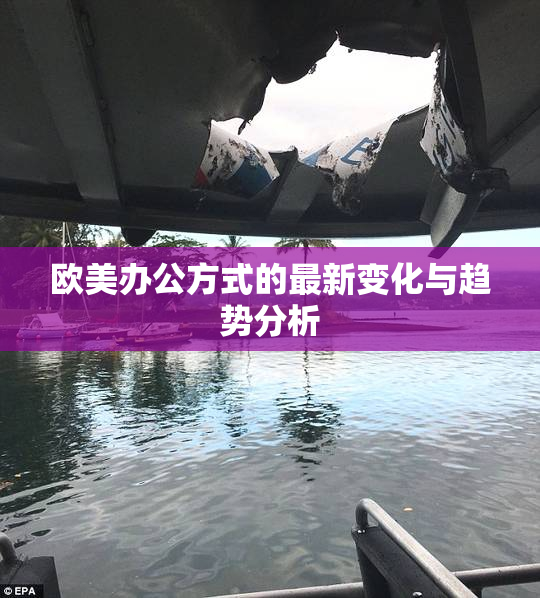 欧美办公方式的最新变化与趋势分析