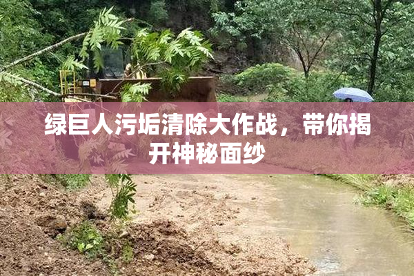 绿巨人污垢清除大作战，带你揭开神秘面纱