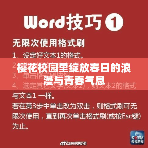 樱花校园里绽放春日的浪漫与青春气息