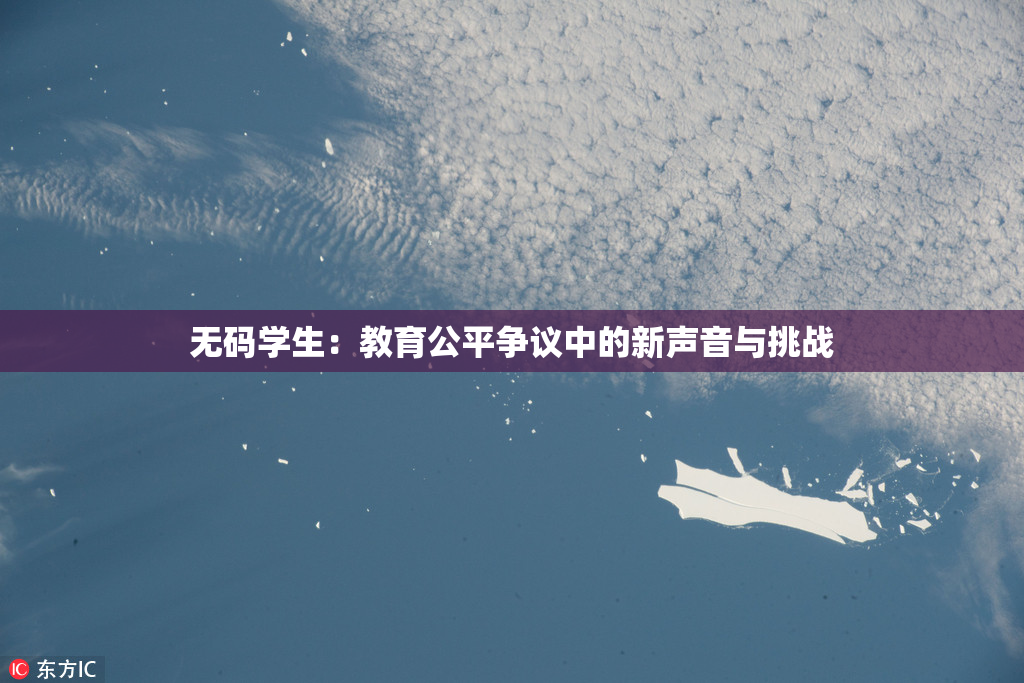 无码学生：教育公平争议中的新声音与挑战