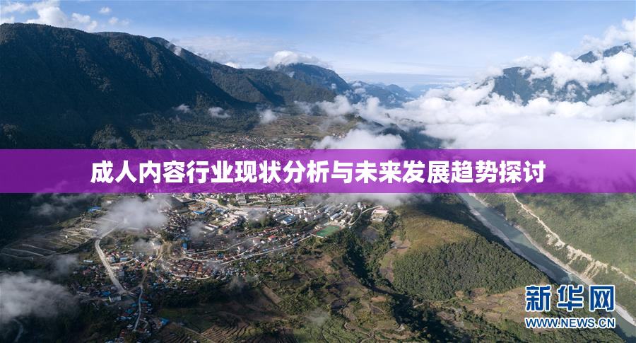 成人内容行业现状分析与未来发展趋势探讨