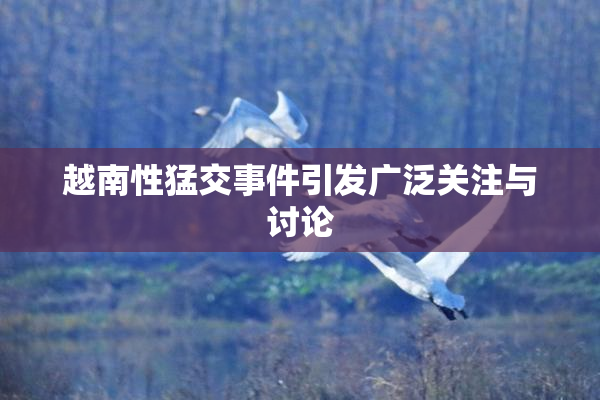 越南性猛交事件引发广泛关注与讨论