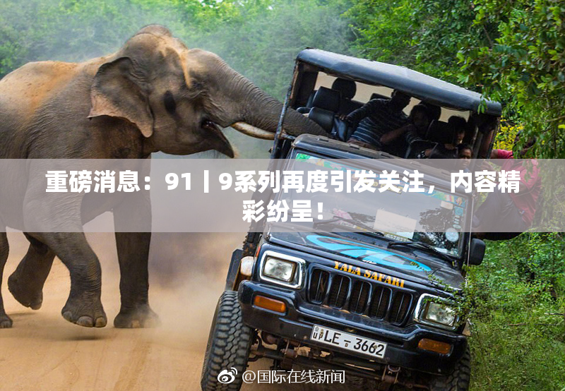 重磅消息：91丨9系列再度引发关注，内容精彩纷呈！