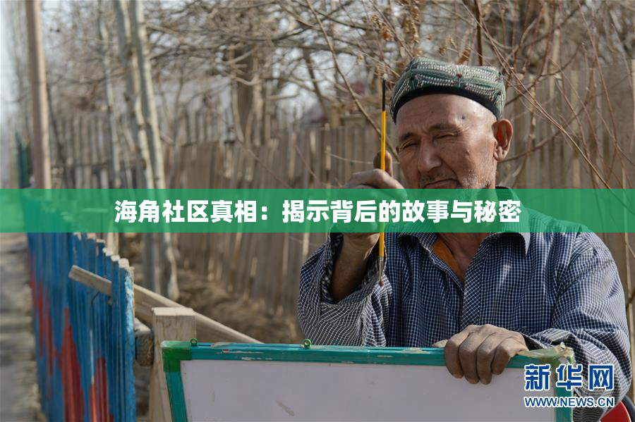 海角社区真相：揭示背后的故事与秘密