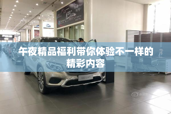 午夜精品福利带你体验不一样的精彩内容