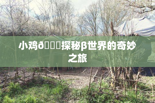 小鸡🐔探秘β世界的奇妙之旅