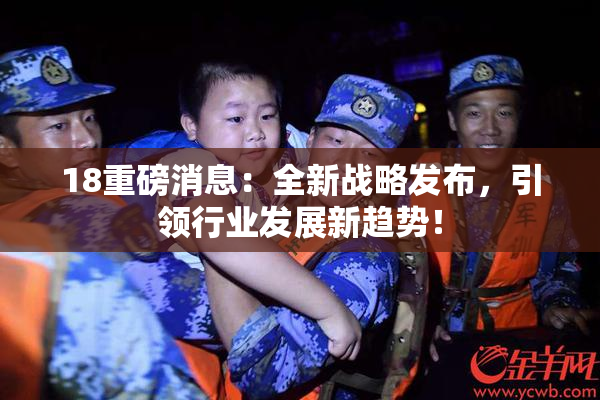 18重磅消息：全新战略发布，引领行业发展新趋势！