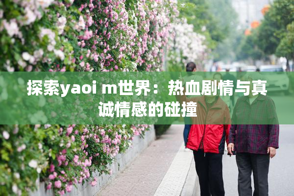 探索yaoi m世界：热血剧情与真诚情感的碰撞