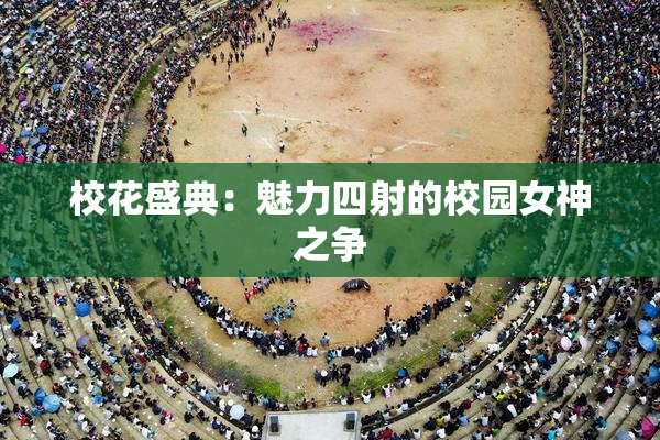 校花盛典：魅力四射的校园女神之争