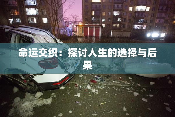 命运交织：探讨人生的选择与后果
