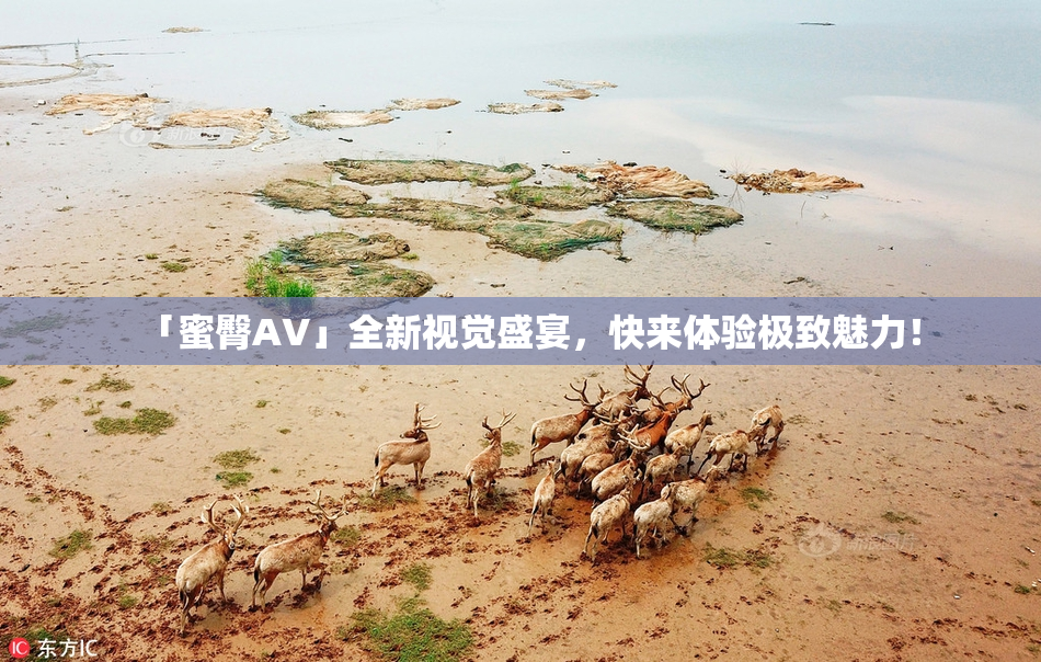「蜜臀AV」全新视觉盛宴，快来体验极致魅力！