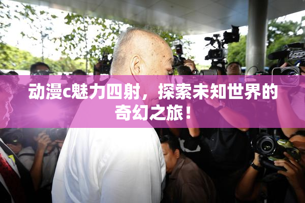 动漫c魅力四射，探索未知世界的奇幻之旅！