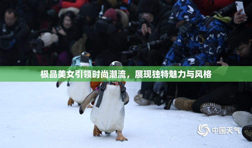 极品美女引领时尚潮流，展现独特魅力与风格