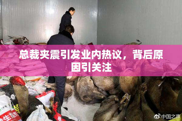 总裁夹震引发业内热议，背后原因引关注