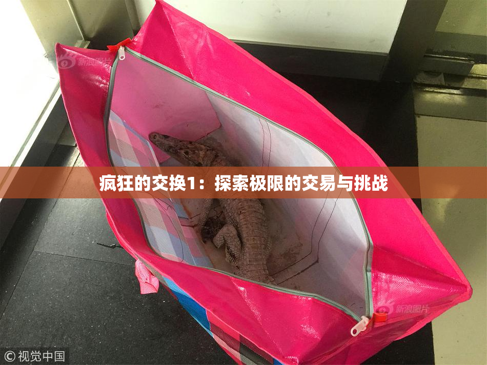 疯狂的交换1：探索极限的交易与挑战