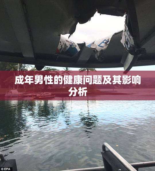 成年男性的健康问题及其影响分析