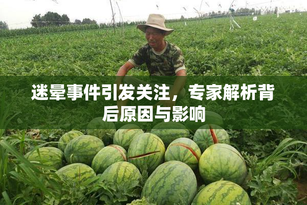 迷晕事件引发关注，专家解析背后原因与影响