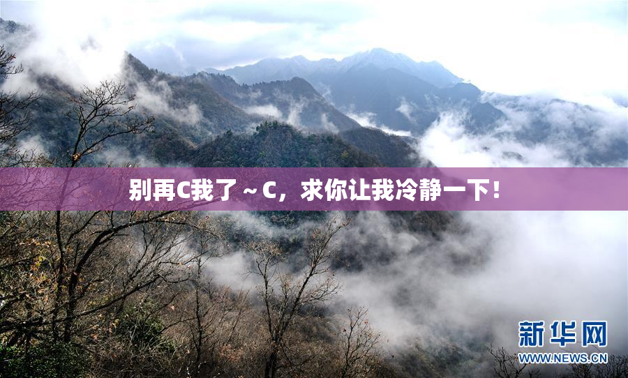 别再C我了～C，求你让我冷静一下！