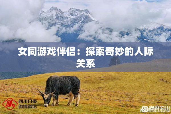 女同游戏伴侣：探索奇妙的人际关系