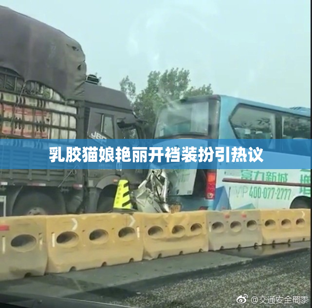 乳胶猫娘艳丽开裆装扮引热议